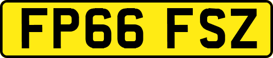 FP66FSZ