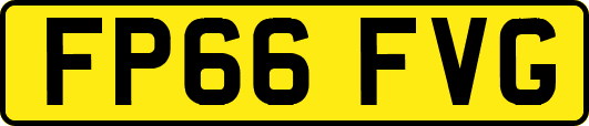 FP66FVG