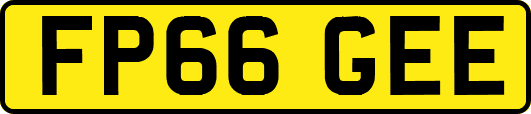 FP66GEE