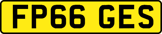 FP66GES