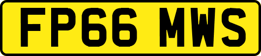 FP66MWS