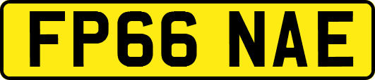 FP66NAE