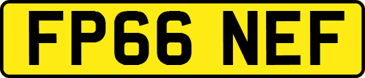 FP66NEF