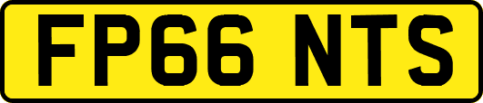 FP66NTS