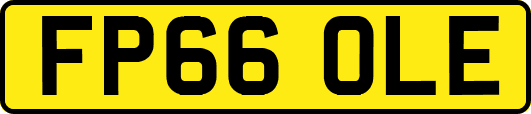 FP66OLE
