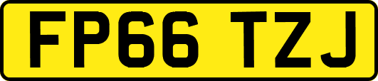 FP66TZJ