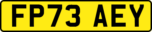 FP73AEY