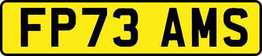 FP73AMS