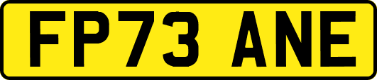 FP73ANE