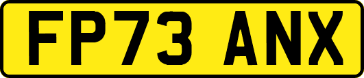FP73ANX