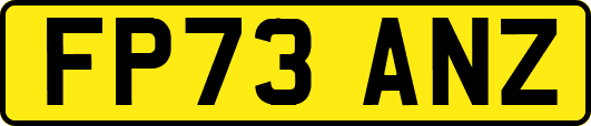 FP73ANZ