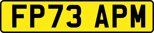 FP73APM