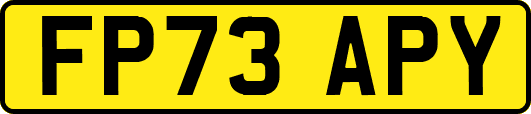 FP73APY