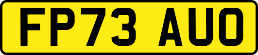FP73AUO