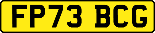 FP73BCG