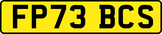 FP73BCS