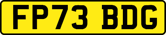 FP73BDG