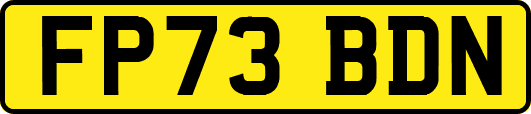 FP73BDN