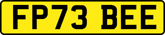 FP73BEE
