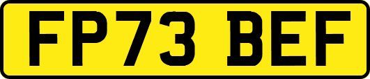 FP73BEF