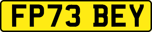 FP73BEY