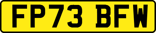 FP73BFW