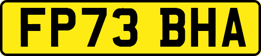 FP73BHA