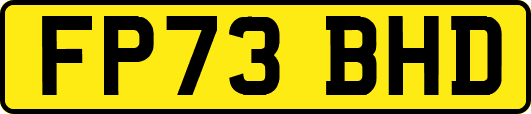 FP73BHD