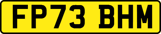 FP73BHM
