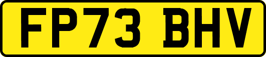 FP73BHV