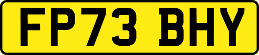 FP73BHY