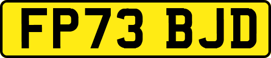 FP73BJD
