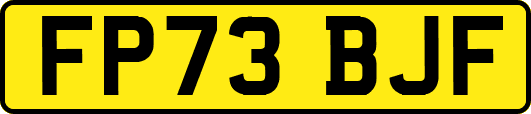 FP73BJF