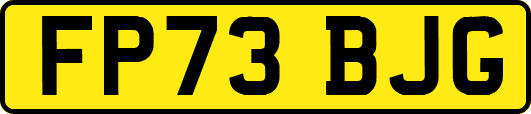 FP73BJG