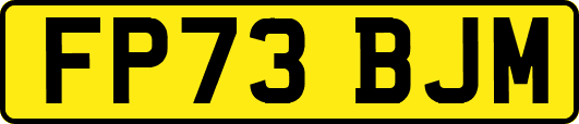 FP73BJM