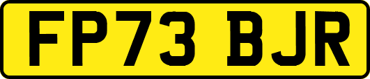 FP73BJR