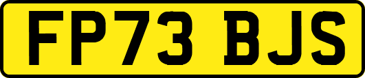 FP73BJS