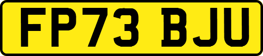 FP73BJU