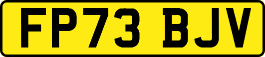 FP73BJV