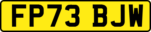 FP73BJW
