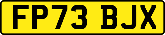 FP73BJX