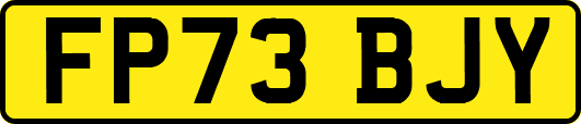 FP73BJY
