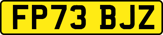 FP73BJZ