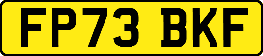 FP73BKF