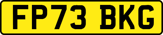 FP73BKG