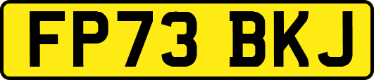 FP73BKJ