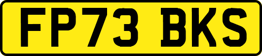 FP73BKS