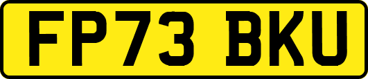 FP73BKU