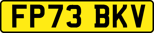 FP73BKV