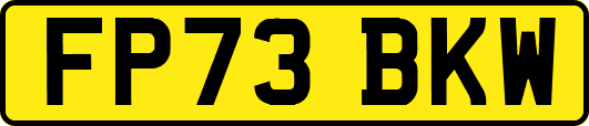 FP73BKW